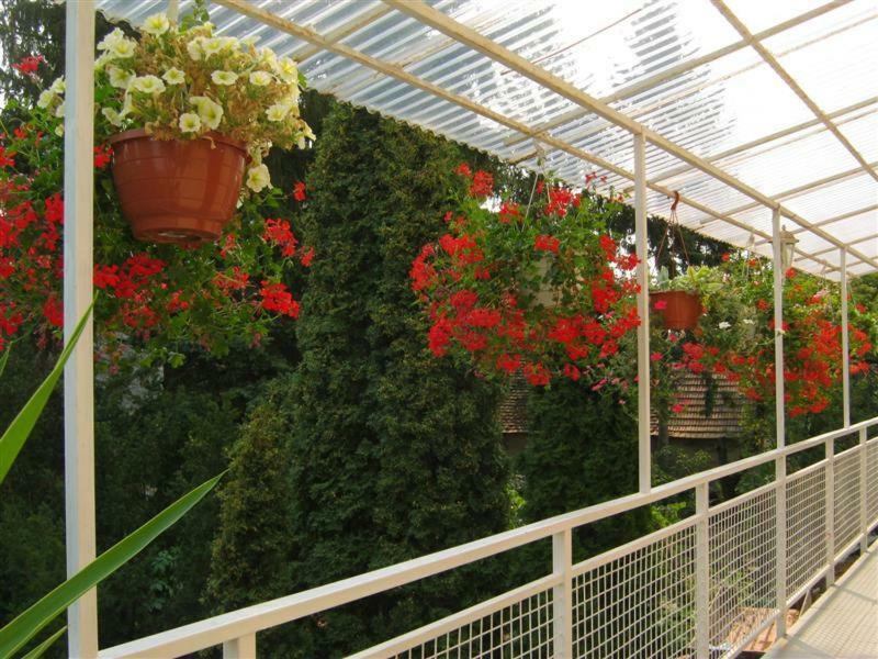 Naszaly Kapuja Vendeghaz Appartement Kosd Buitenkant foto