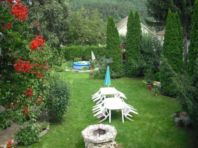 Naszaly Kapuja Vendeghaz Appartement Kosd Buitenkant foto